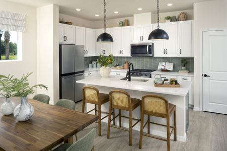 Waterset Bungalow Series by David Weekley Homes in Apollo Beach - image 8