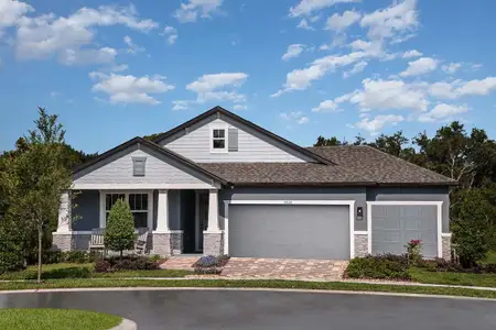 Pinecone Reserve by William Ryan Homes in Brooksville - photo 11 11