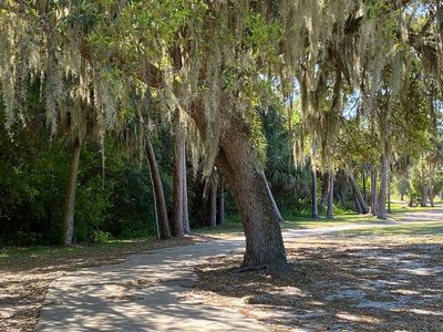 Tea Olive Terrace at the Fairways by William Ryan Homes in Palmetto - photo 8 8