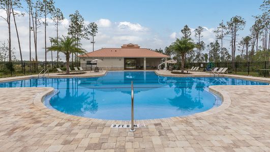 Grand Landings by Dream Finders Homes in Palm Coast - photo 0