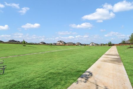 Parks at Panchasarp Farms by Bloomfield Homes in Burleson - image 18