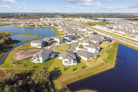 Berry Bay by M/I Homes in Wimauma - photo 8 8