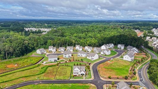 Maddox Landing by UnionMain Homes in Hoschton - image 10