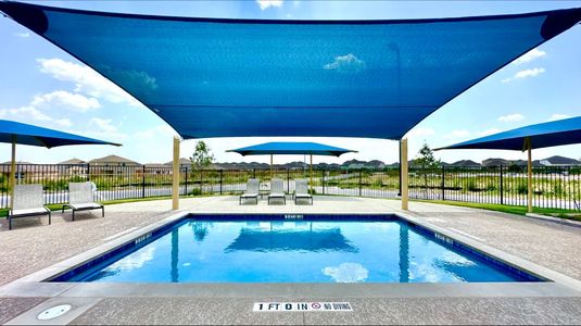 Cotton Brook: Claremont 22