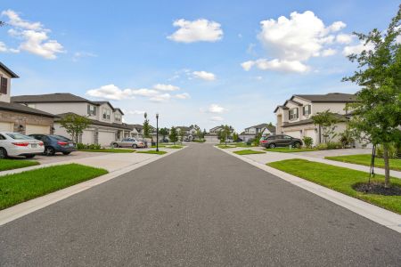 Whispering Oaks Preserve by M/I Homes in Wesley Chapel - photo 14 14