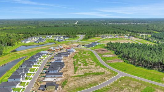 Amberly by Dream Finders Homes in Green Cove Springs - image