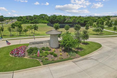 Wellspring Estates by Grand Homes in Celina - photo 21 21