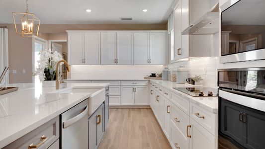 Hills of Minneola by Dream Finders Homes in Minneola - image 17