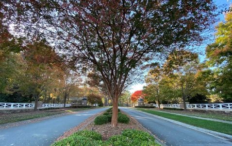 Irish Creek by Niblock Homes in Landis - photo 4 4