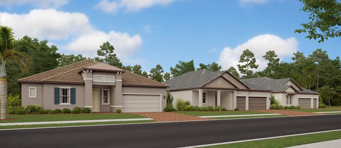 Angeline Active Adult: Active Adult Estates by Lennar in Land O' Lakes - photo 0 0