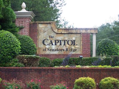 The Capitol at Senator's Ridge by Bamford and Company in Dallas - photo 1 1