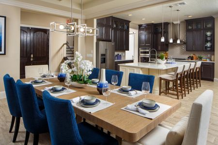 Avalon Cove by Jones Homes USA in Winter Garden - photo 17 17