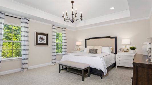 Neill's Pointe by DRB Homes in Angier - photo 9 9