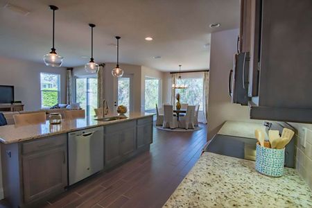 Coastal Gardens at Town Center by Paytas Homes in Palm Coast - image 9