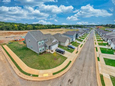 Dorris Farm at Willow Springs by Goodall Homes in White House - image 13