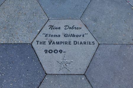 Pinegate by My Home Communities in Covington - image 16