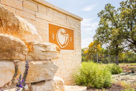 Orchard Ridge by Pacesetter Homes in Liberty Hill - image 12