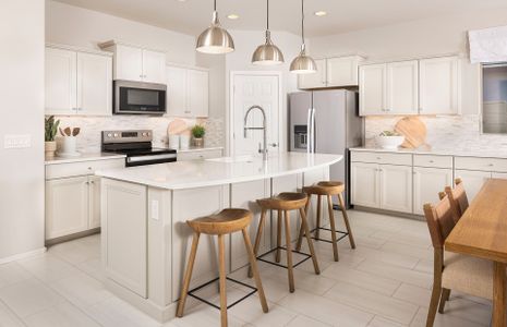 Parkside at Anthem at Merrill Ranch by Pulte Homes in Florence - image 4