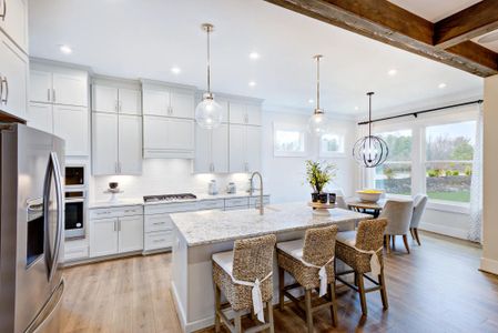 Serenity Executive by Drees Custom Homes in Fuquay Varina - image 18