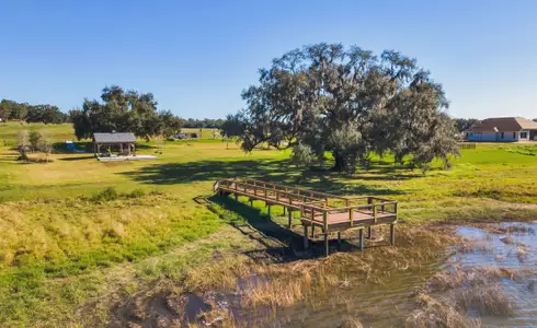 West Hill Estates by ICI Homes in Dade City - image 19