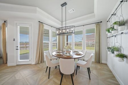 Serenity at Meridiana 55' by Tricoast Homes in Manvel - photo 17 17