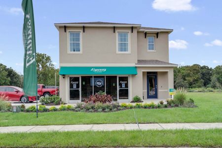 Horse Creek at Crosswinds by D.R. Horton in Davenport - photo 10 10