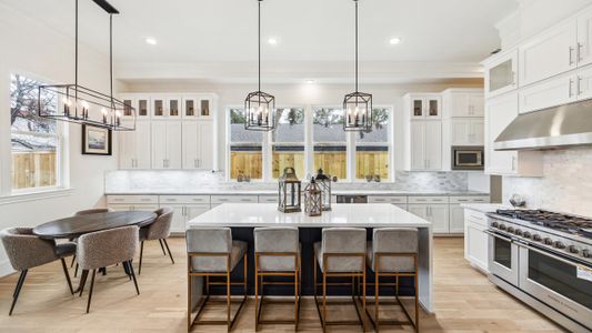 Monarch Oaks by InTown Homes in Houston - image 8