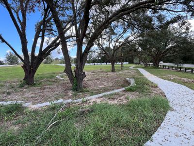 Wolf Lake Ranch by M/I Homes in Apopka - photo 27 27