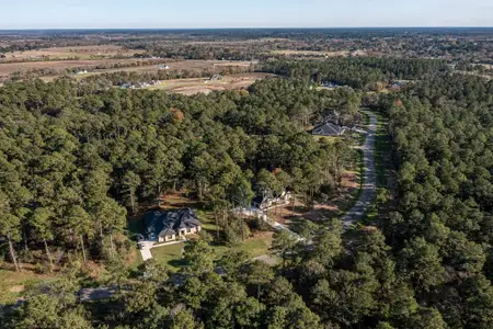 The Cedars by Gracepoint Homes in Plantersville - photo 0 0