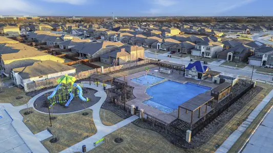 The Woods at Lindsey Place by D.R. Horton in Anna - image