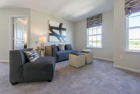 Notting Hill by CastleRock Communities in Converse - photo 30 30