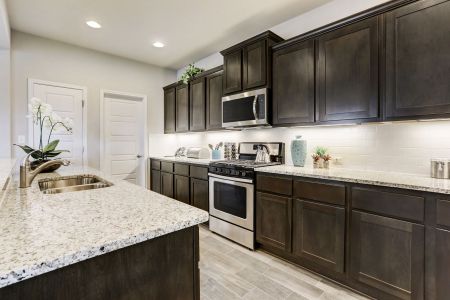 TRACE by Terrata Homes in San Marcos - photo 15 15