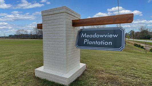 Meadowview by D.R. Horton in Sumter - image