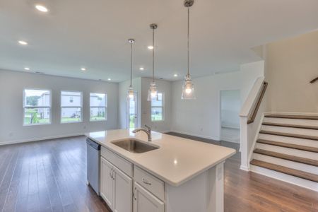 Dorris Farm Villas by Goodall Homes in White House - image 17
