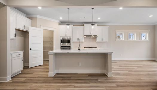 Garland Meadows by Chafin Communities in Cartersville - image 7