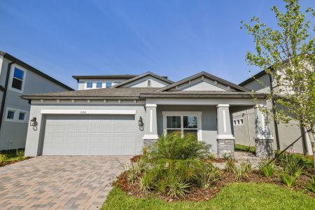 Whispering Oaks Preserve by M/I Homes in Wesley Chapel - photo 21 21