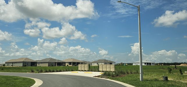 Calesa Township by Colen Built Development, LLC in Ocala - photo 15 15