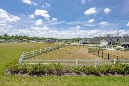 Wilford Preserve by Dream Finders Homes in Orange Park - photo 9 9