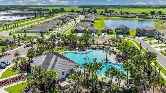 Berry Bay - Master planned community in Wimauma, FL 8 8