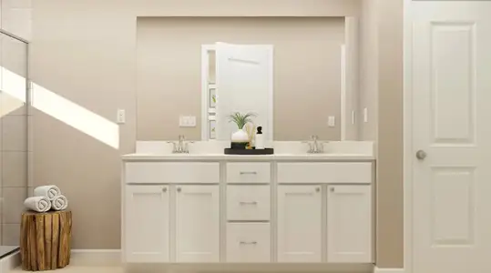 Bakers Creek: Timber 10