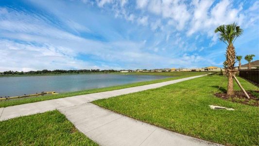 Harmony at Lake Eloise by D.R. Horton in Winter Haven - photo 11 11