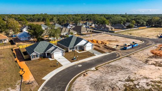 Buckeyes Landing by Herbst Homes in Navarre - image 7