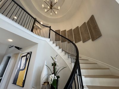 Nolina - 50' by Westin Homes in Georgetown - photo 47 47
