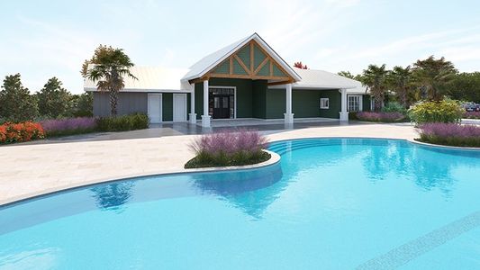 Legacy Preserve by D.R. Horton in Parrish - image