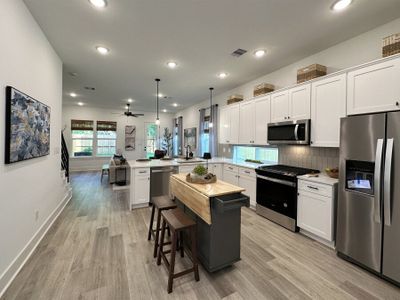 Benson Street Court by Hillstone Homes in Houston - photo 17 17