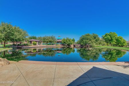 Anthem Merrill Ranch by D.R. Horton in Florence - photo 47 47