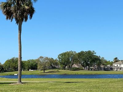 Tea Olive Terrace at the Fairways by William Ryan Homes in Palmetto - photo 4 4