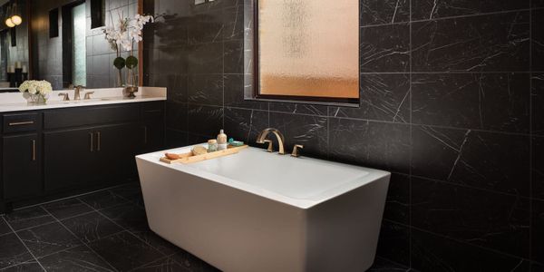 Bluffview Reserve by GFO Home in Leander - image 7