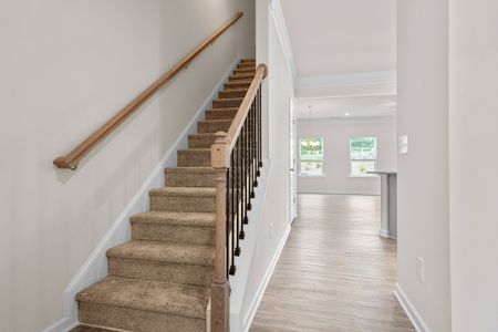 Hickory Glen by Smith Douglas Homes in Charlotte - photo 5 5