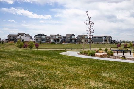 Trailside Alley Load - Single Family Homes 51